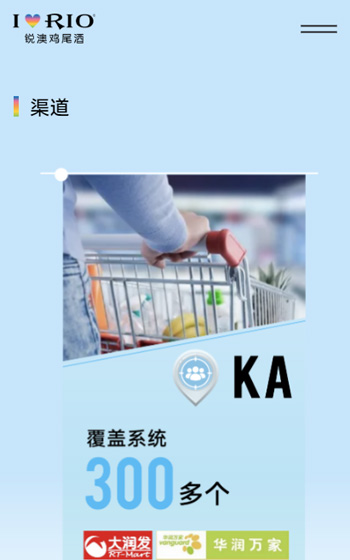 上海巴克斯酒業有(yǒu)限(xian)公(gōng)司（銳澳）網站案例圖片3